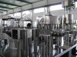 CE Automatic Bottle Filling Machine Pet Bottling Rinsing Filling Capping Line
