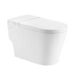 Knob Control Ceramic Modern Smart Toilet , Siphonic jet Intelligent Toilet Bowl