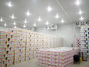 China Polyurethane Insulation Cold Store Room Automatic Defrosting Storage Cold Room Container factory