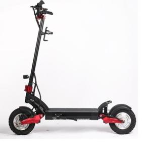 China New Design Fashionable Electric Scooter with 800w*2 Double Drive Motor for Sport Enthusiasts factory