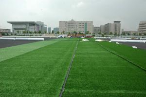 China Not Distortion Athletic Field For Runway Garden Balcony Swimming Pool Children Playground factory