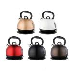 Electric Water Kettle with Automatic Shut-off and Stainless Steel Construction