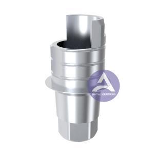 China C-Tech® Internal Hexagen Titanium Ti-Base Abutment Engaging Type factory
