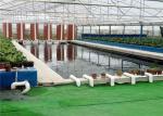 Plastic Film Hydroponic Greenhouse Strong Ventilation Ability Convenient To Use