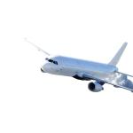 FCL LCL DDP Air Shipping With FOB EXW CIF DDU DDP Trading Term