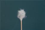 Medical 3" 4" Bamboo Cotton Buds Stick Tipped Swab Disposable Cleaning Hospital