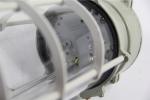 Explosion Proof Light Fluorescent Strip Light 20-100W