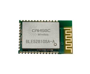 China 3dBm NRF52810 Nordic RF Module PCB Antenna Ble 5.0 Module factory