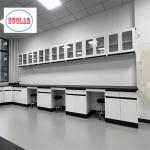 Chemical Resistant Chemistry Lab Workbench Steel Wood Laboratory Bench DTC105