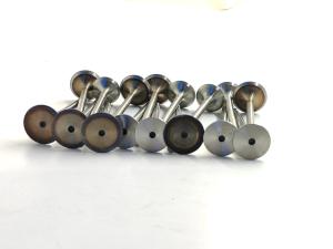 China Mported Volkswagen Jetta Syncro 2013-2014 Intake And Exhaust Valves 03C109601J factory