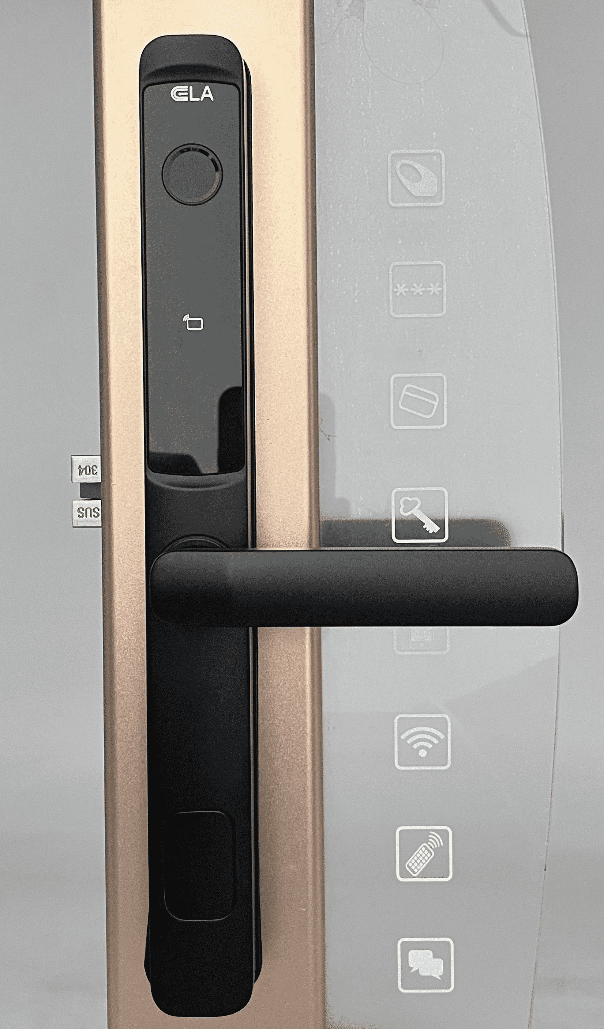 Smart Door Lock keyless with hotel system lock electronic black