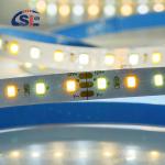 Customized CCT 12V24V 8mm 120leds 3000K-6500K Warm White-White SMD2835 Led Strip