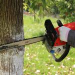2.4Kw Real Wood Mini Chainsaw 0.325 Pitch Gasoline Wood Cutter