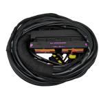 Automotive Car Wiring Harness Multiple Connector Type for Optimal 12V Performanc