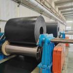 ST630/ST800/ST1000 High Temperature Conveyor Belts with Tear-resistant Design