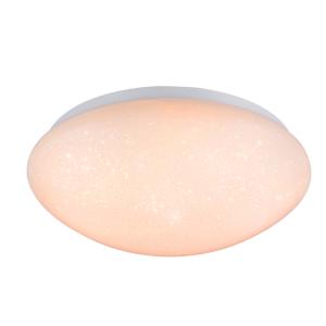 China Fakir Starry LED Ceiling Lamp 24W factory