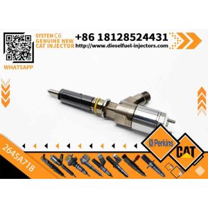 China Fuel Injector 2645A718 2645A734 2645A747 for Perkins 1104D-E44TA Diesel Engine Spare Parts Diesel Injector for Excavator Repair on sale