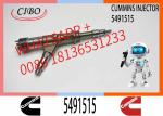 Common Rail Injector Fuel Injector 4307475 4307468 5461710 5491515 For ISG