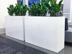 Wholesale Fiberglass Resin Flower Planters Modern Style FRP Plant Pots For Decor
