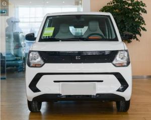 China CLTC 180km Mini Electric SUV FENGON New Energy Dongfeng EV Cars factory