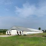 Solid H Shape Beam Poultry Farm Structure Lightweight Steel Frame House Anti