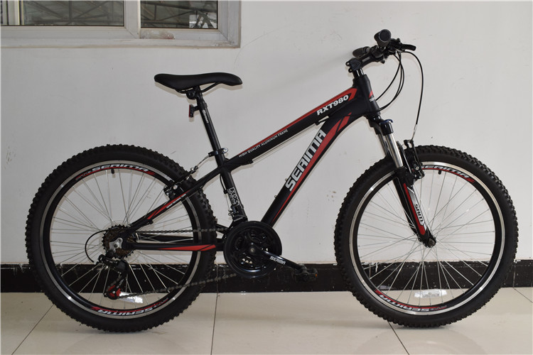 Made in China CE standard 24 inch alumimium alloy 21 speed mountain bike/bicycle/bicicle for Europe market