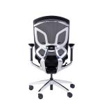 Dvary Middle Back Ergonomic Chair Lumbar Support Adjustable Swivel Office Chairs