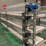 Chicken 12 Cells Layer Battery Cage System 4 Tier For Farm Adela