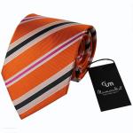 Men silk neckties with fashional styles