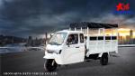 Custom Color Body Overall Frame 800cc Car Engine Motorcycle Tricycle for Adult 3