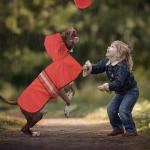 Reflective Dog Raincoat - Adjustable Waterproof Raincoat for Dogs, Lightweight
