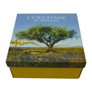 China Personal Care Cosmetic Paper Box , Custom Makeup Packaging High Efficiency factory