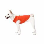 Dog Jacket with Leash Ring