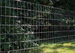 Galvanized Welded Wire Rolled Fencing With Mesh Size 2-In X 4-In