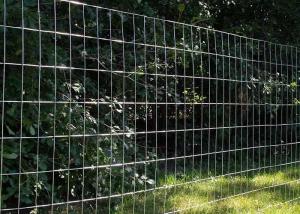 China Galvanized Welded Wire Rolled Fencing With Mesh Size 2-In X 4-In factory
