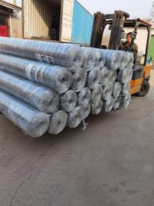 China 1.2mx30m Q195 Stee Hot Dipped Galvanized Wire Mesh Long Hole Shape factory