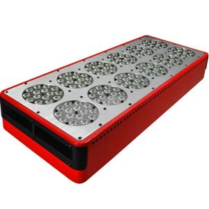 China hydroponics grow kit led grow CIDLY LED 12 high power led grow lights factory