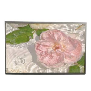 China 21.5 Inch Sunlight Readable TFT LCD Module 1500 Nits factory