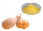 Food Grade Fruit Concentrate Pumpkin Vegetable Extract Powder