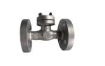 Flange Cryogenic Check Valve For LNG LOX LIN LAR LCO2 Liquid Gases Tank