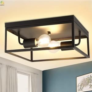 China Iron Pendant Light Home Art Baking Paint Black LED Nordic Pendant Light factory