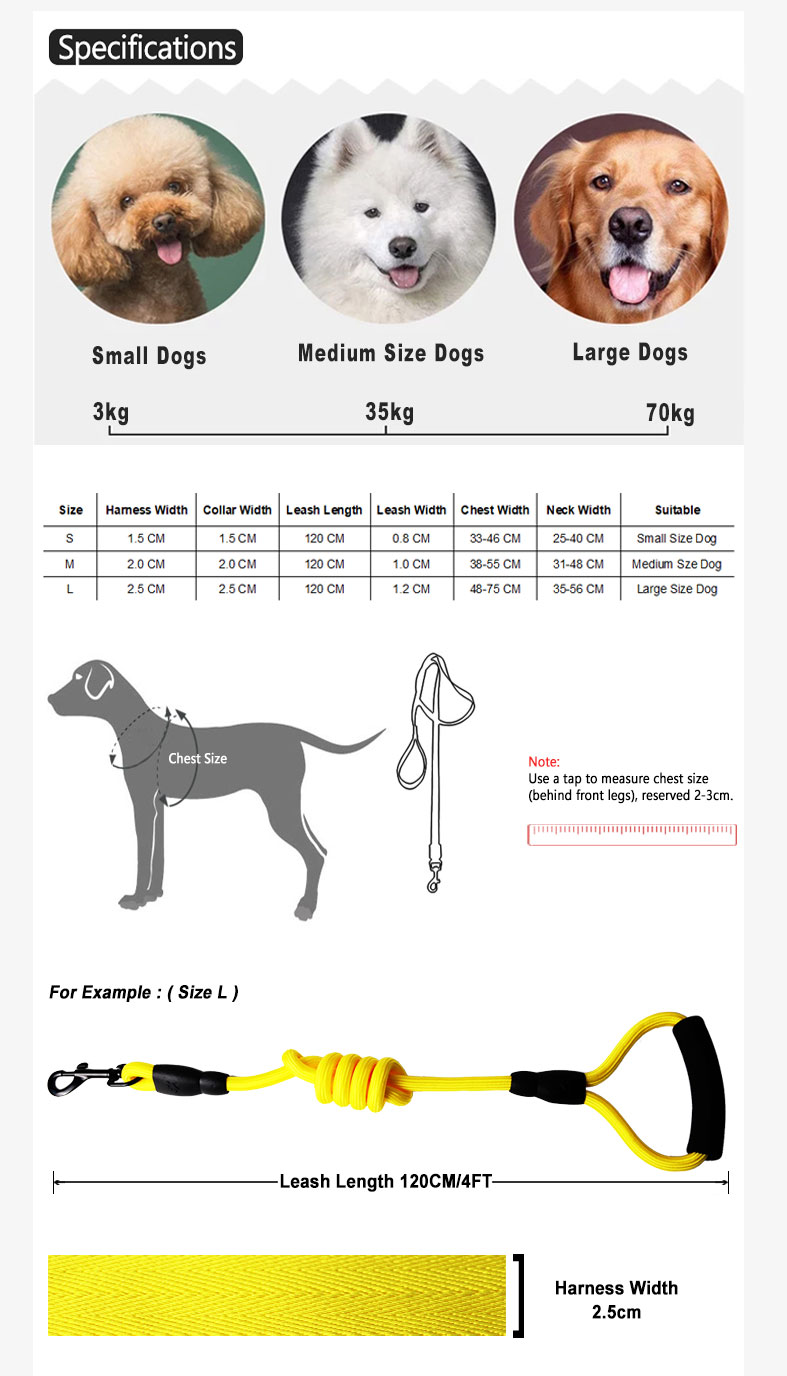 Fashion Colorful Pet Supplies Dog Harness And Dog Collar With Leash Rope