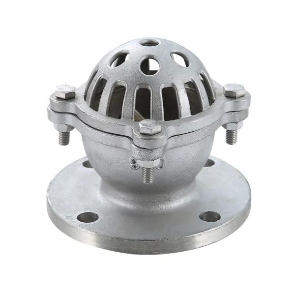 Silver Stainless Steel 304 316 Flanged Foot Valve with Screwed End and Butterfly