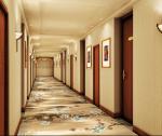 Nylon printed carpet pile height 8mm pile weight 1200g/sqm width 3.66 or 4.0m