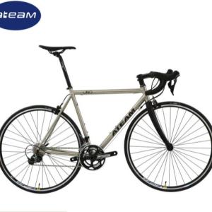 China Cr-Moly 700C Custom Steel Road Bike 14G 304 Stainless Spoke factory