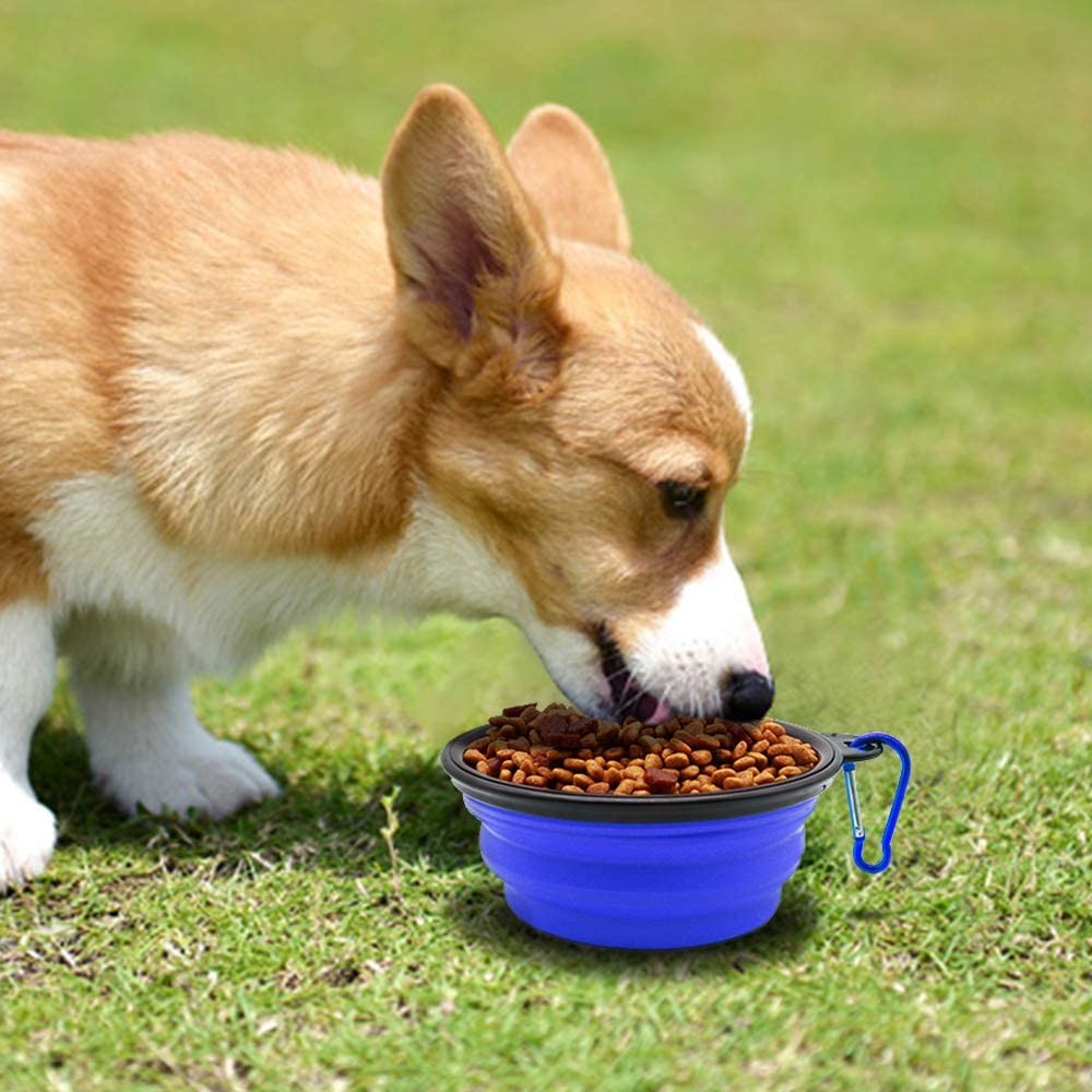 Portable Collapsible Dog Water Bowls Portable For Traveling