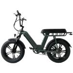 2 Wheel Electric Fat Tire Bike 48V 500W Aluminum Alloy 20 Inch Fat Tyre Electric