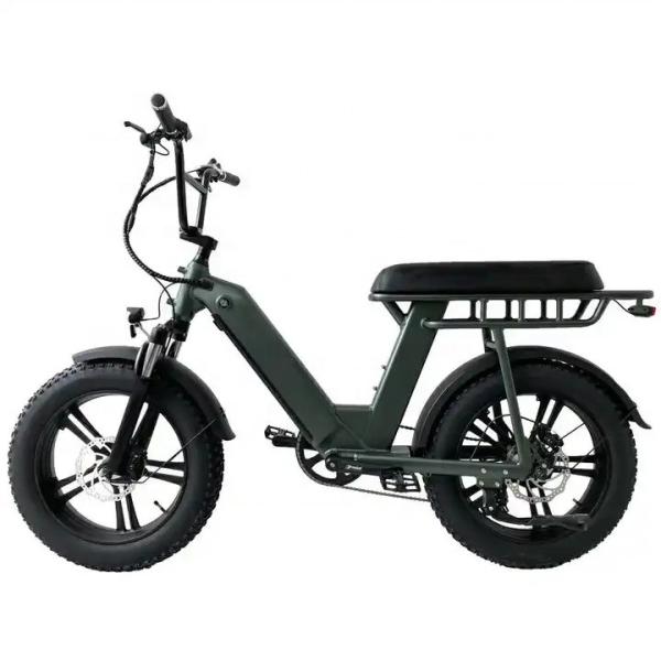 2 Wheel Electric Fat Tire Bike 48V 500W Aluminum Alloy 20 Inch Fat Tyre Electric