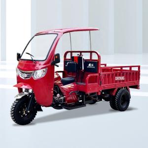 China 200cc Engine Other Tricycles Tri Moto 3 Wheeler Motorcycle with 50*100 Chassis factory