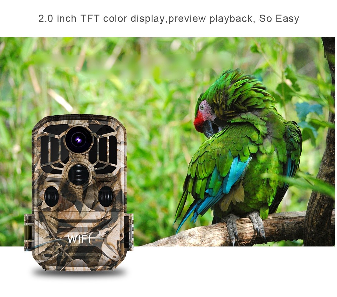 Wireless Hunting Game Camera Night Vision Waterproof Wifi Outdoor Wildlife